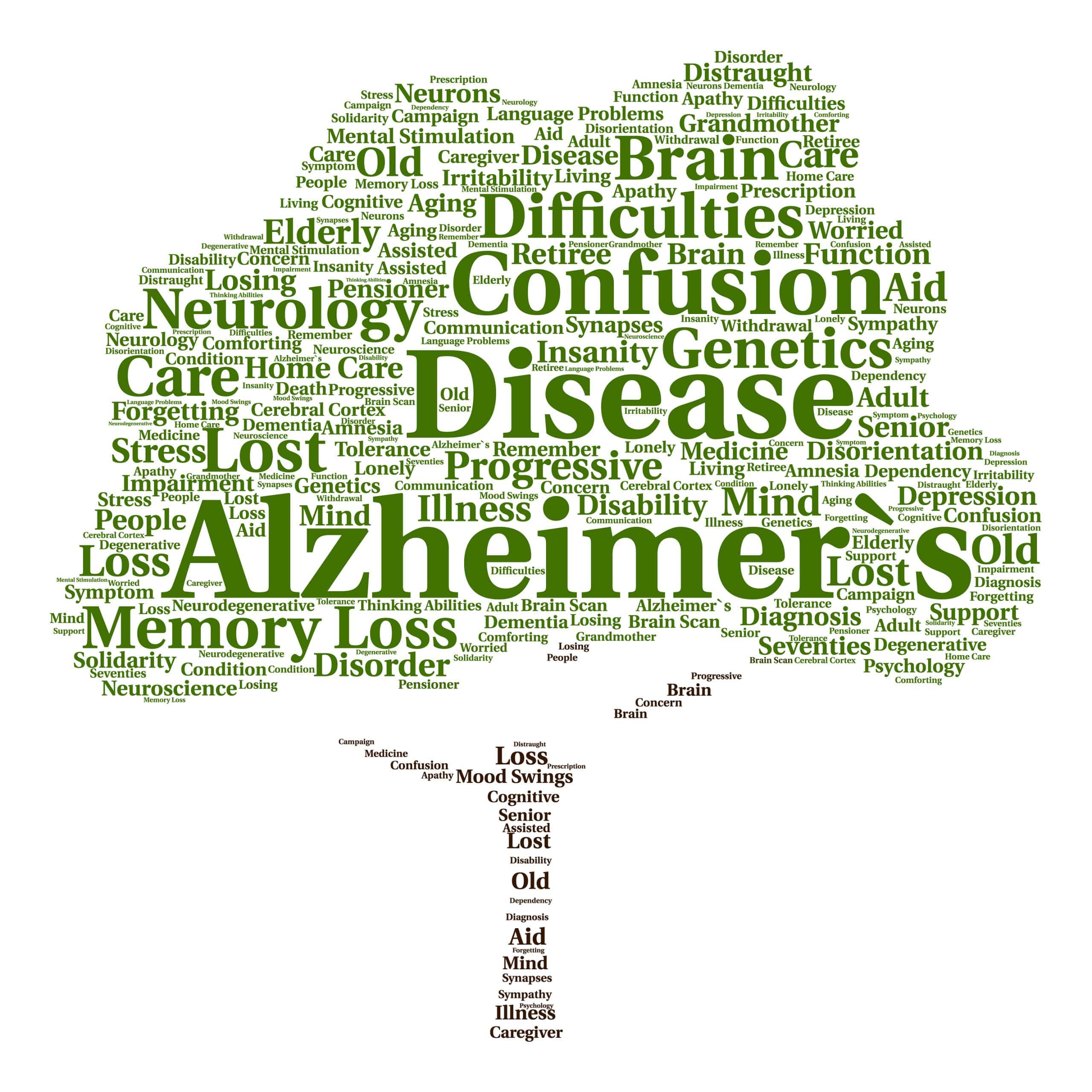5 Hobbies That Help Prevent Alzheimers Disease and Dementia
