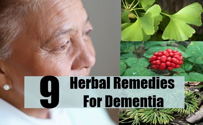 9 Dementia Herbal Remedies, Natural Remedies And Cure ...