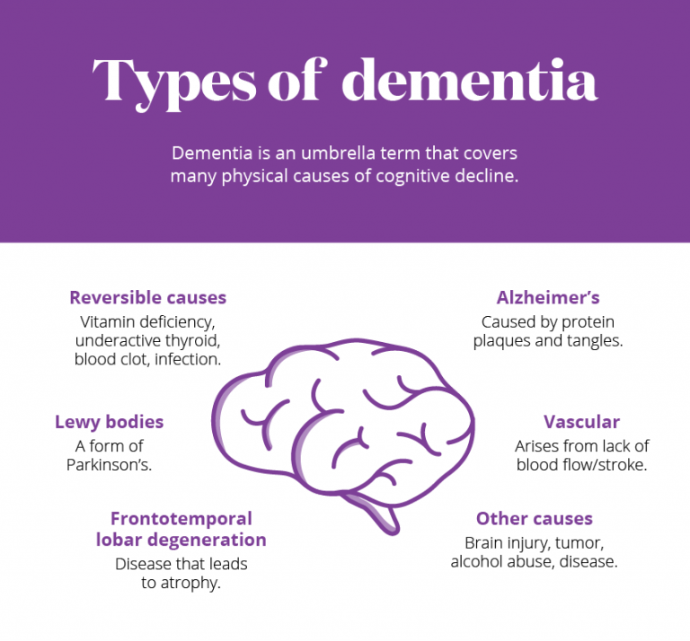 A guide to dementia prevention and treatment