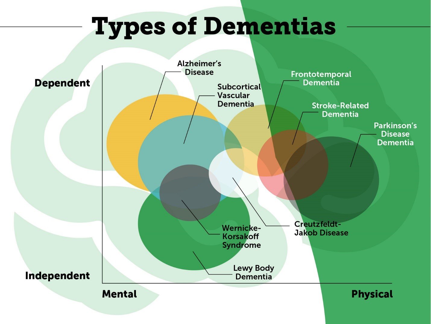 Alzheimerâs Disease 2020 Facts and Statistics