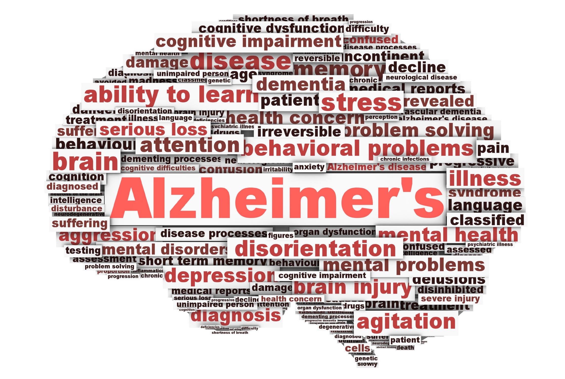 Alzheimers Archives