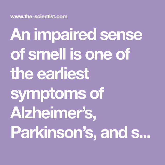 An impaired sense of smell is one of the earliest symptoms of Alzheimer ...