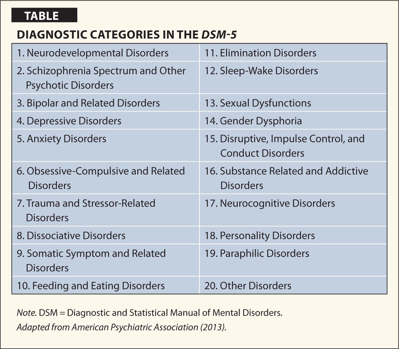 An Overview of the DSM