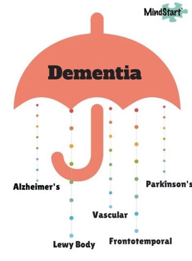 Ask DoÃ±a Quixote: what is the difference between Alzheimer ...