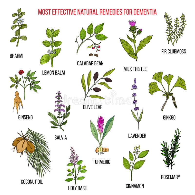 Best Herbal Remedies For Dementia Stock Vector