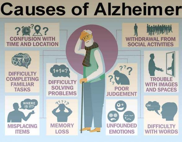 Causes Of Alzheimers