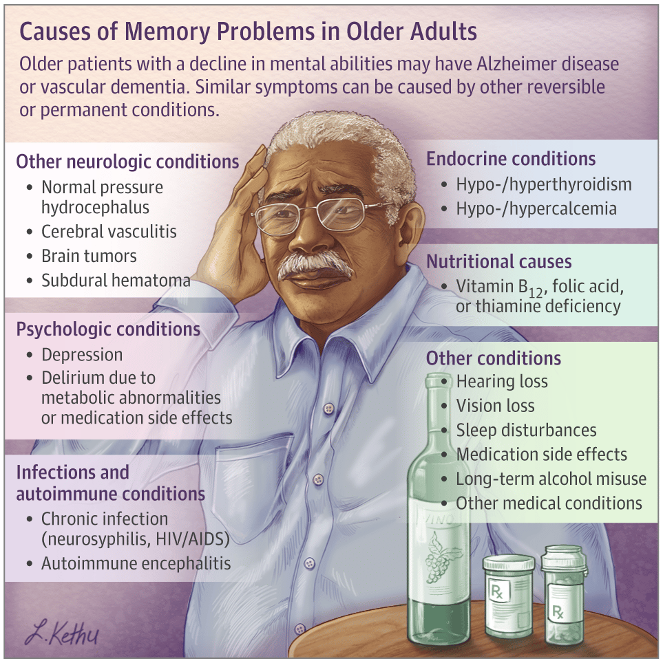 Causes of Memory Loss in Elderly Persons
