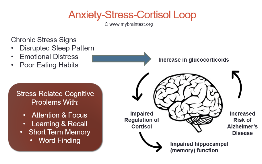 Chronic Anxiety, Stress and Memory Loss