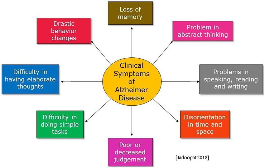 Clinical symptoms of Alzheimer disease.