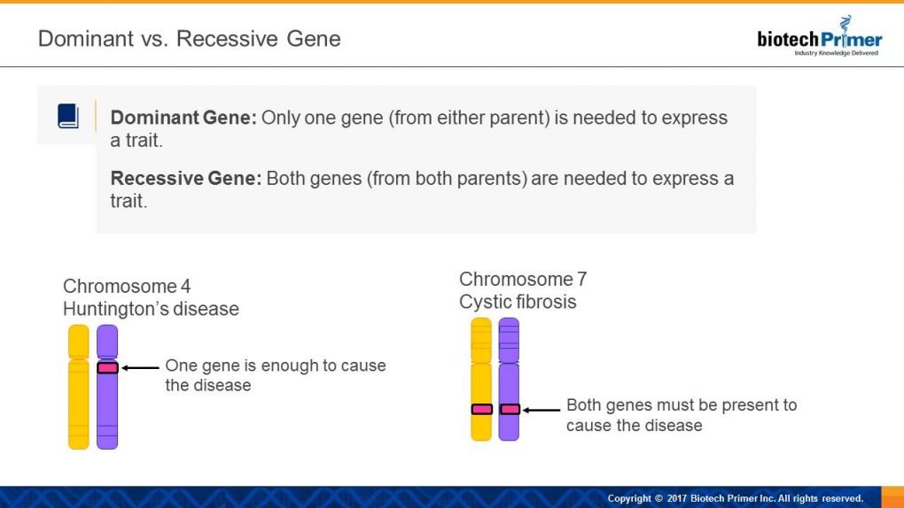 Decoding Your Genes