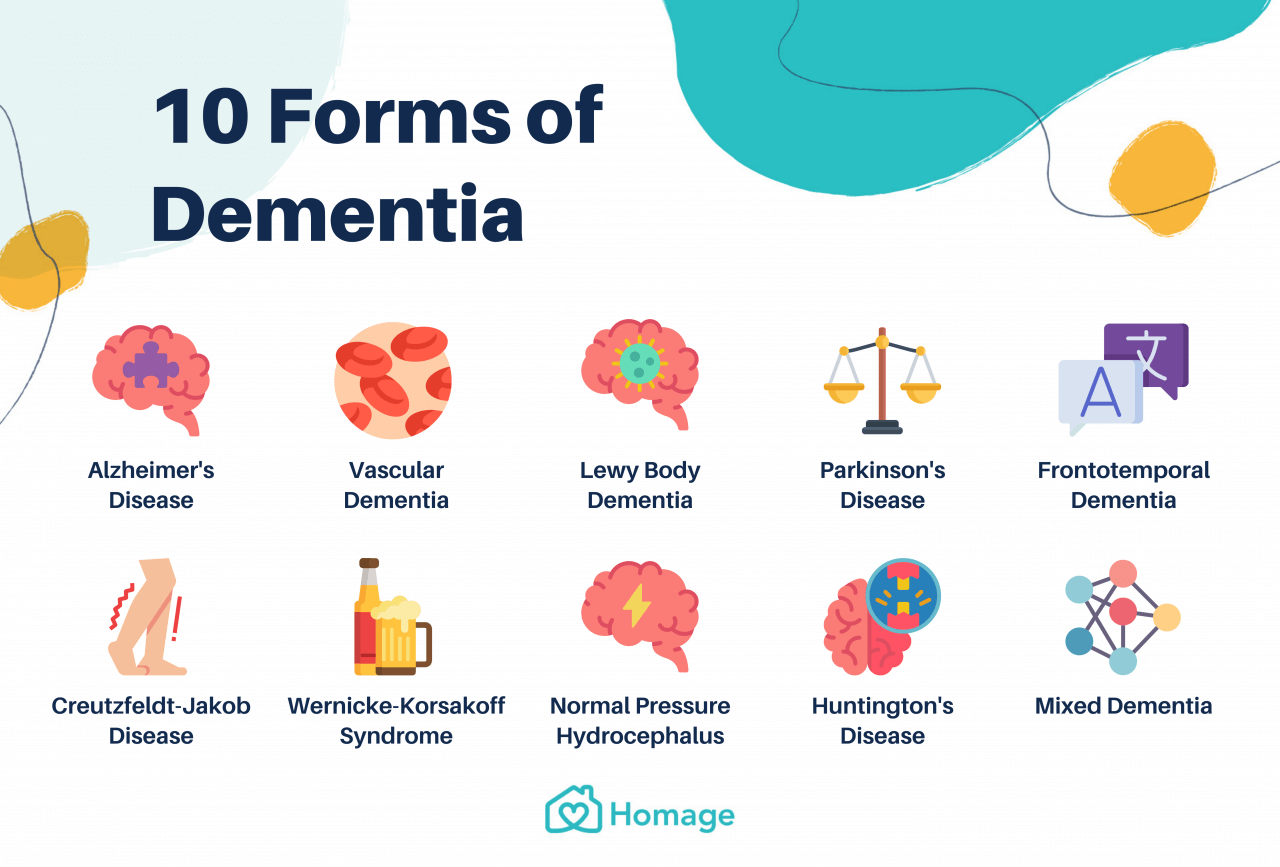Dementia 101: All You Need To Know