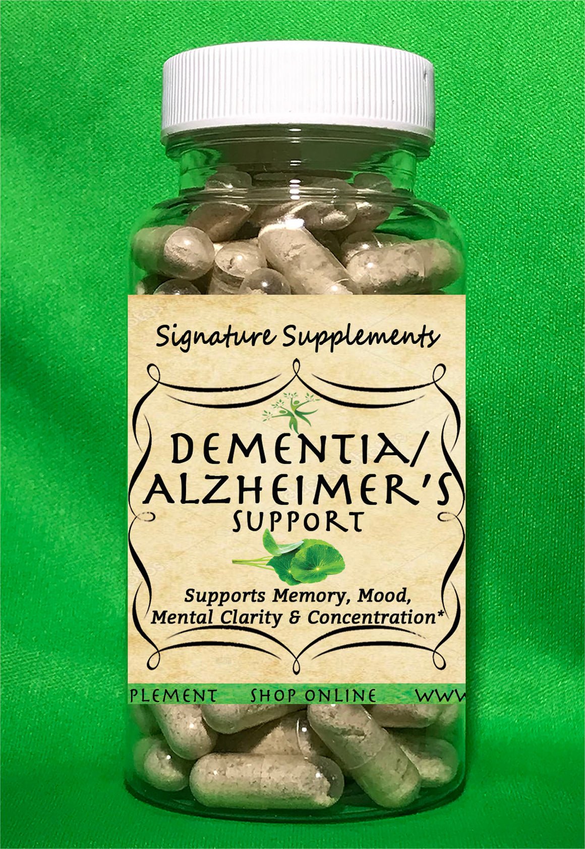 Dementia Alzheimers Support