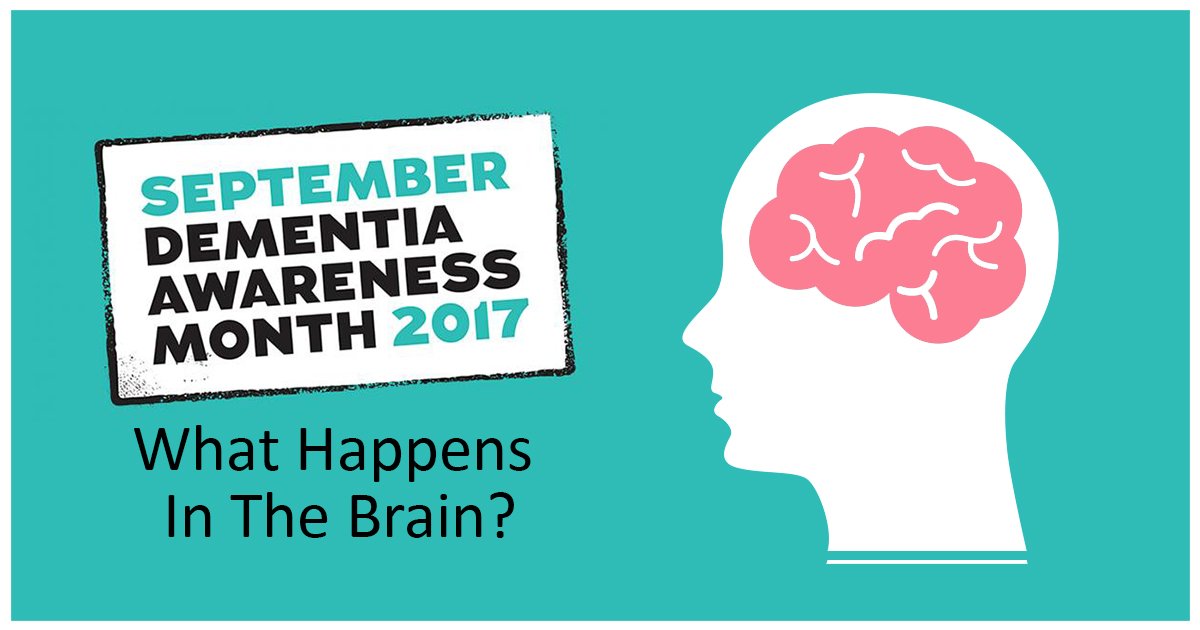 Dementia: Changes In The Brain