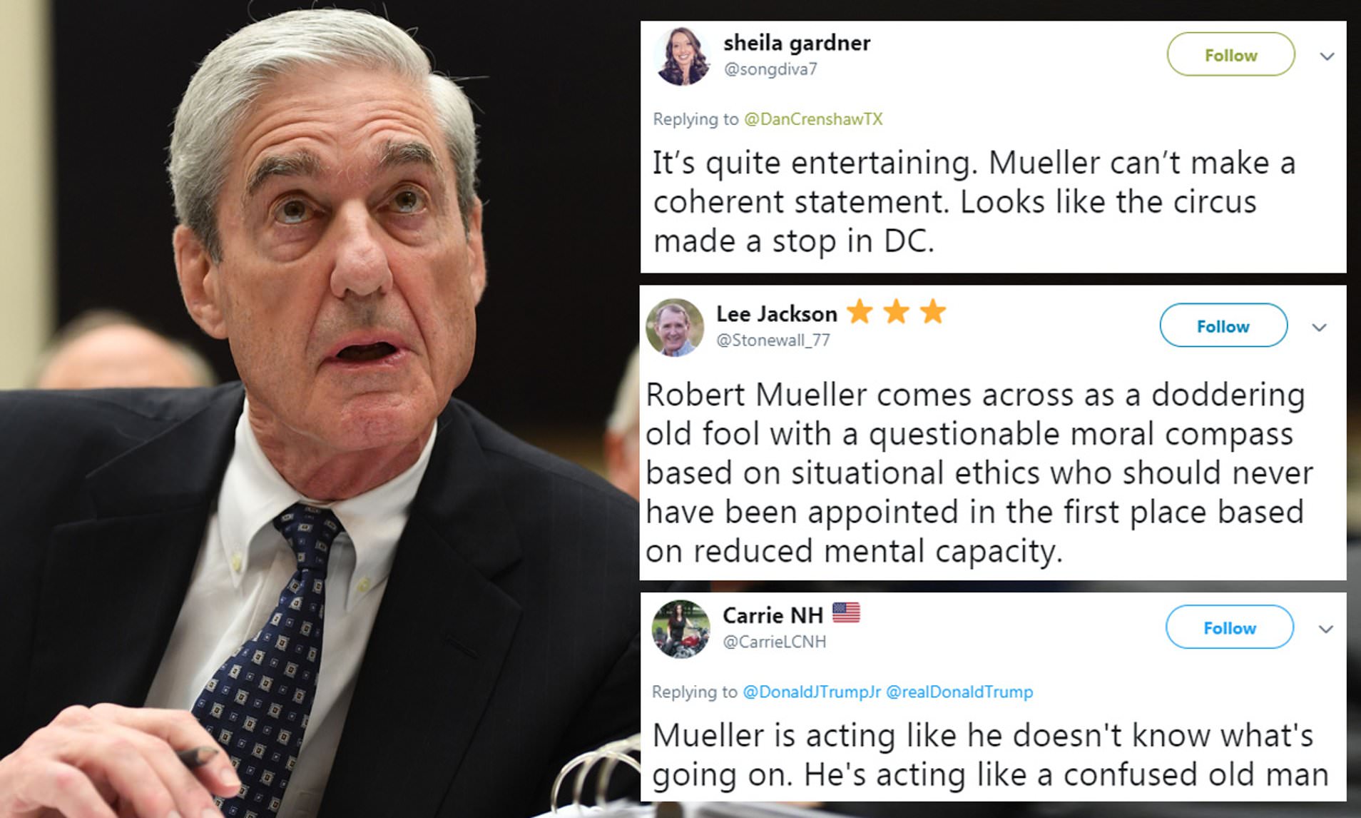 Democrat defends Robert Mueller