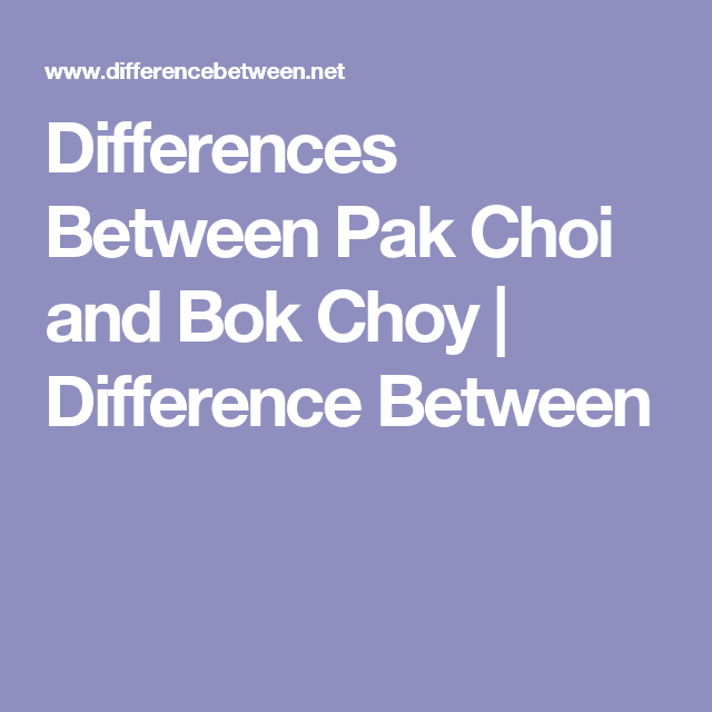Differences Between Pak Choi and Bok Choy