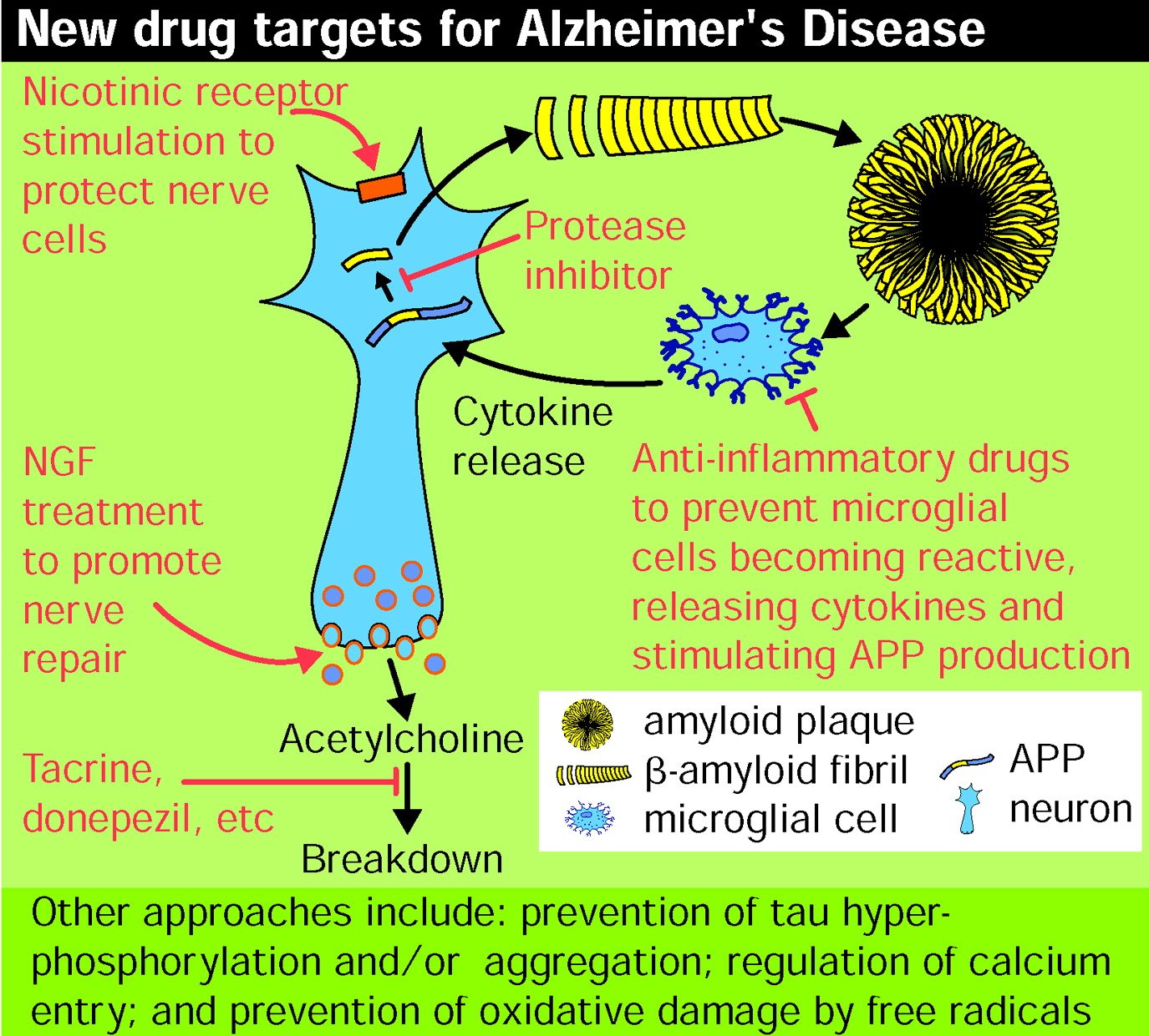 From mechanisms to drugs in Alzheimer
