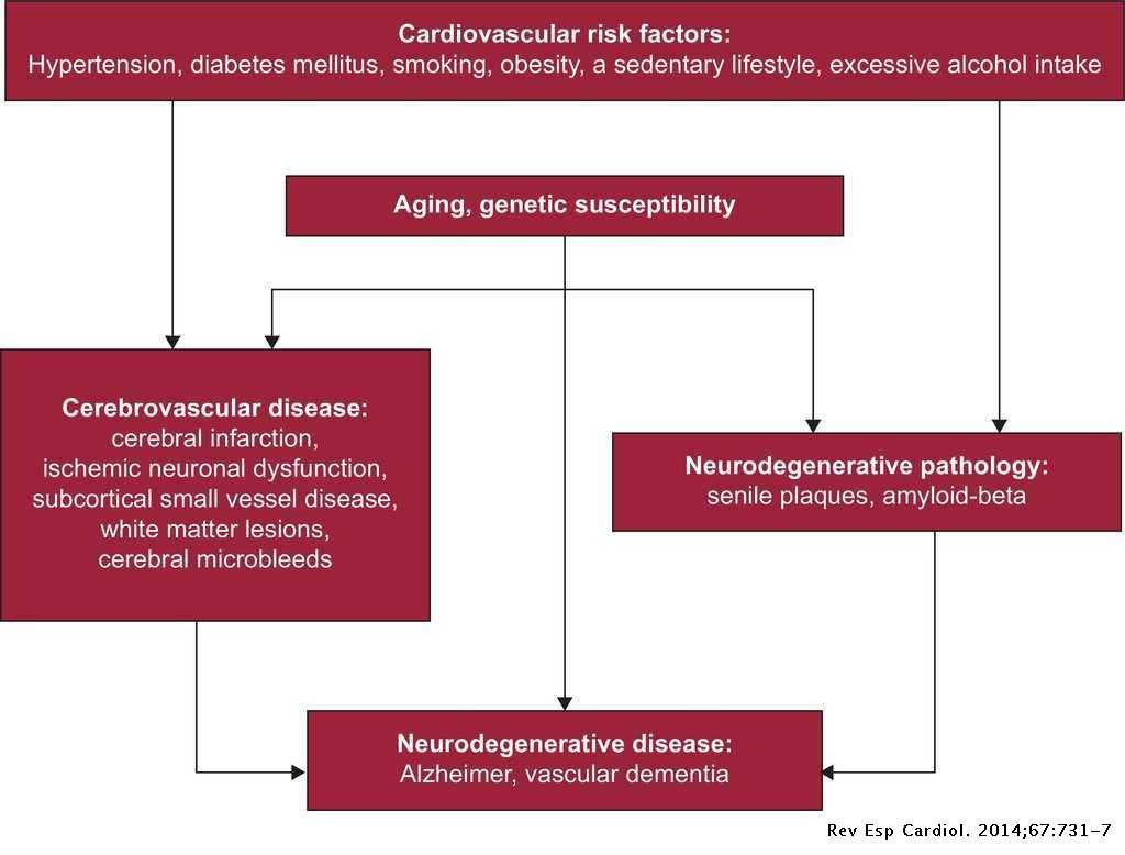 Heart Disease And Vascular Dementia
