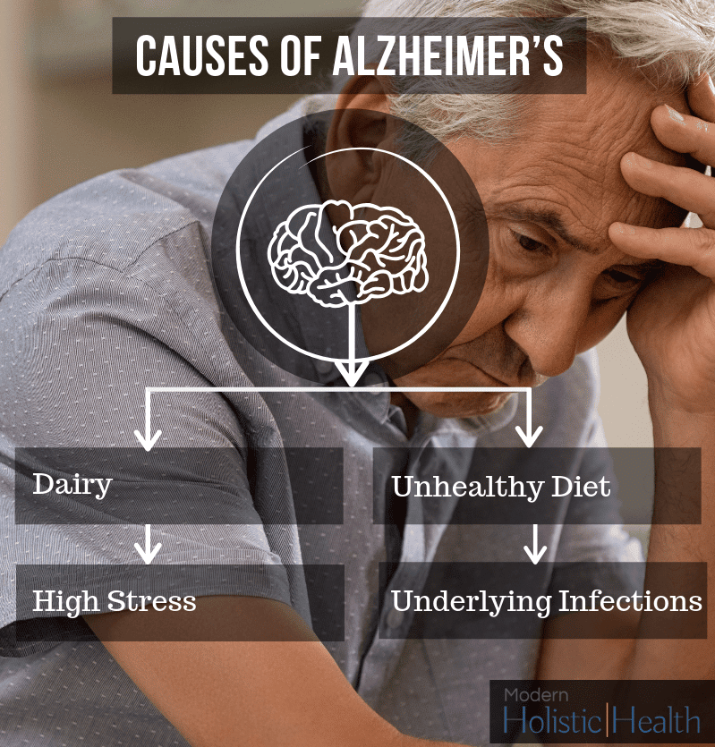 Holistic and Functional Approaches for Alzheimers