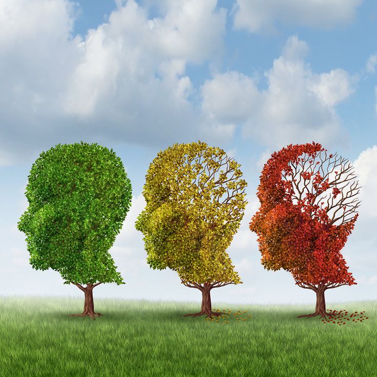 Is Your Elderly Loved One Hiding Their Alzheimers Disease? in 2020 ...