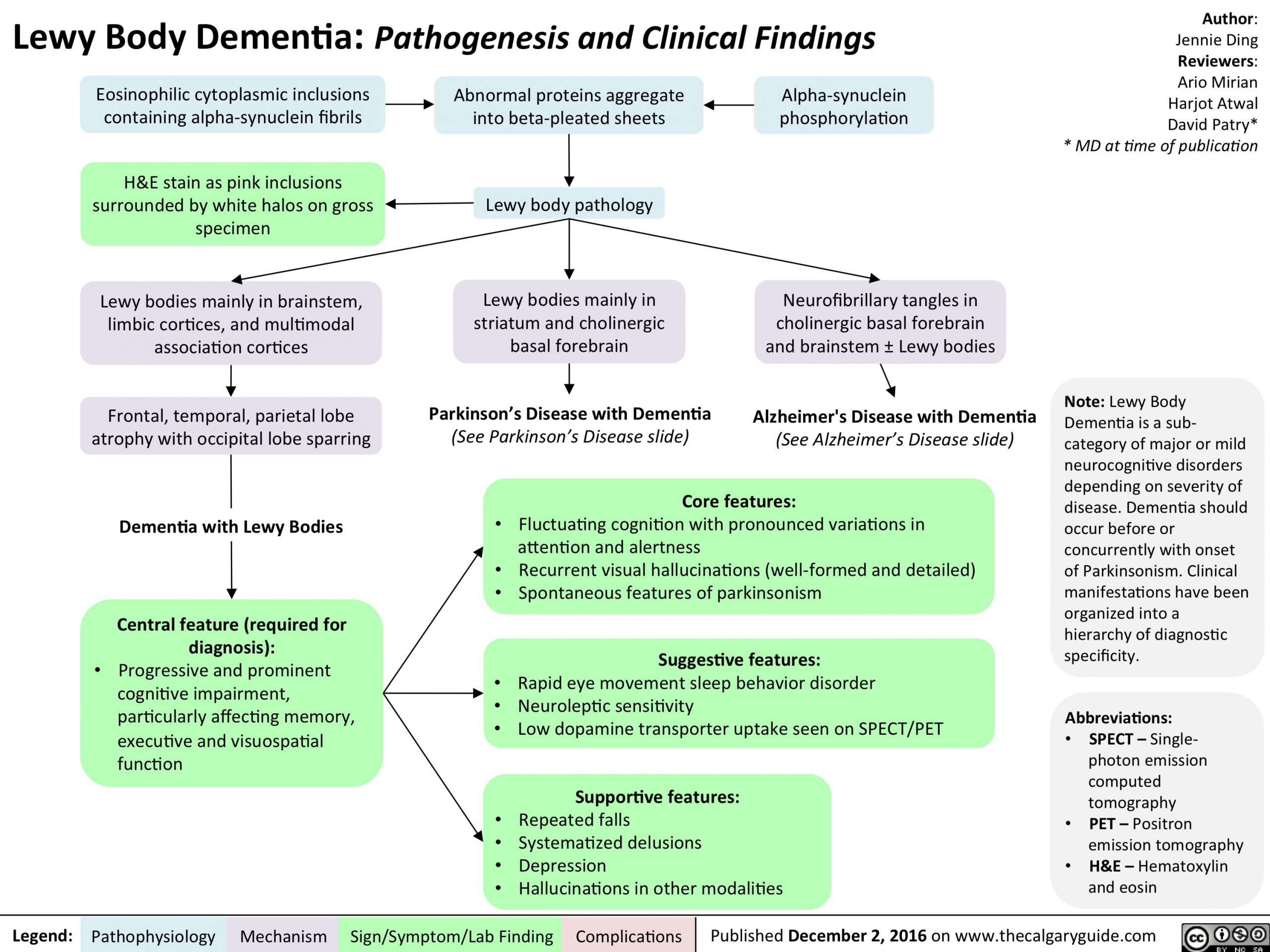 Lewy Body Dementia: Pathogenesis and Clinical Findings