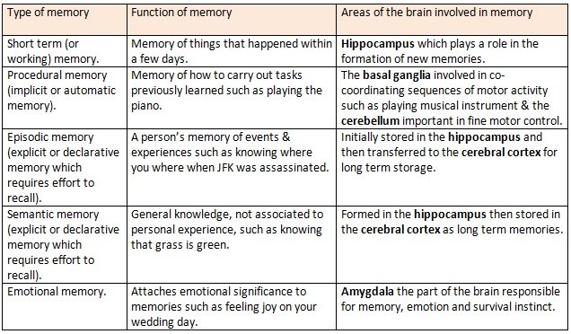Memory Loss in Dementia