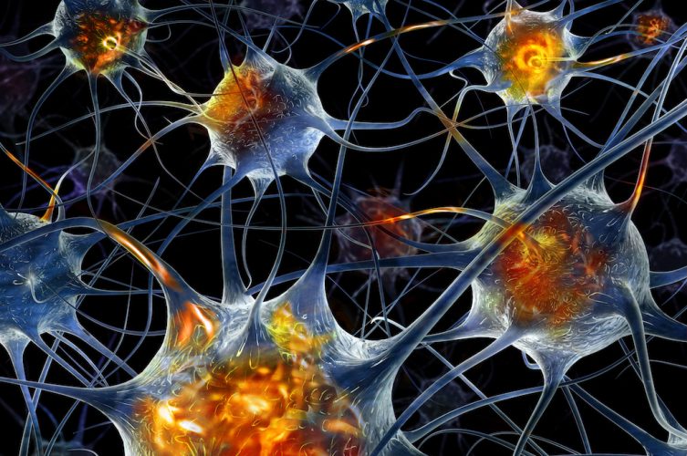 Missing Link Discovered Between Immune Cells and Alzheimer ...