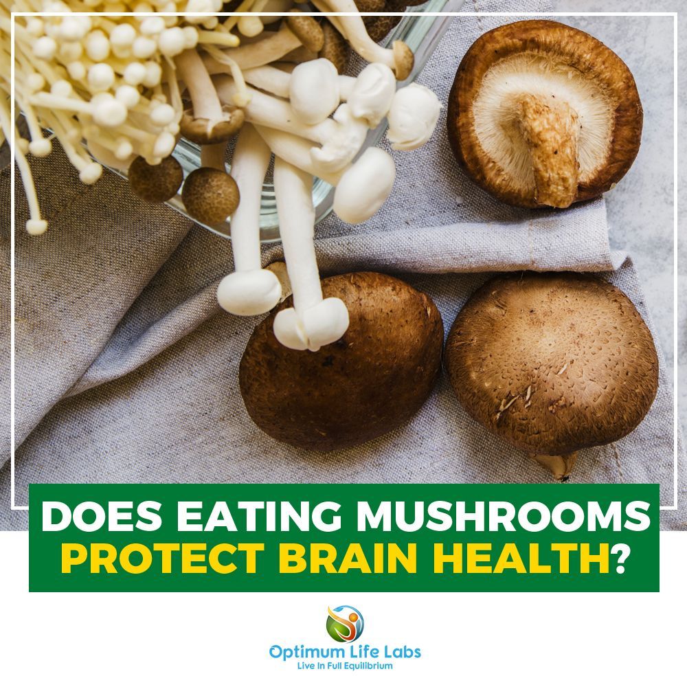Researchers are now asking whether mushrooms can also protect against ...