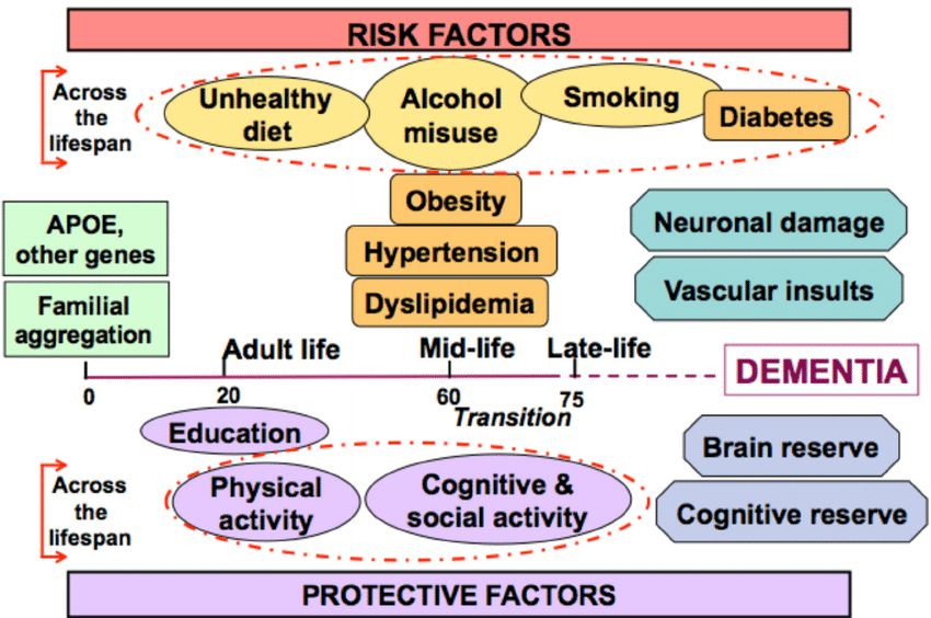 Risk factors for dementia and Alzheimer  s disease across ...