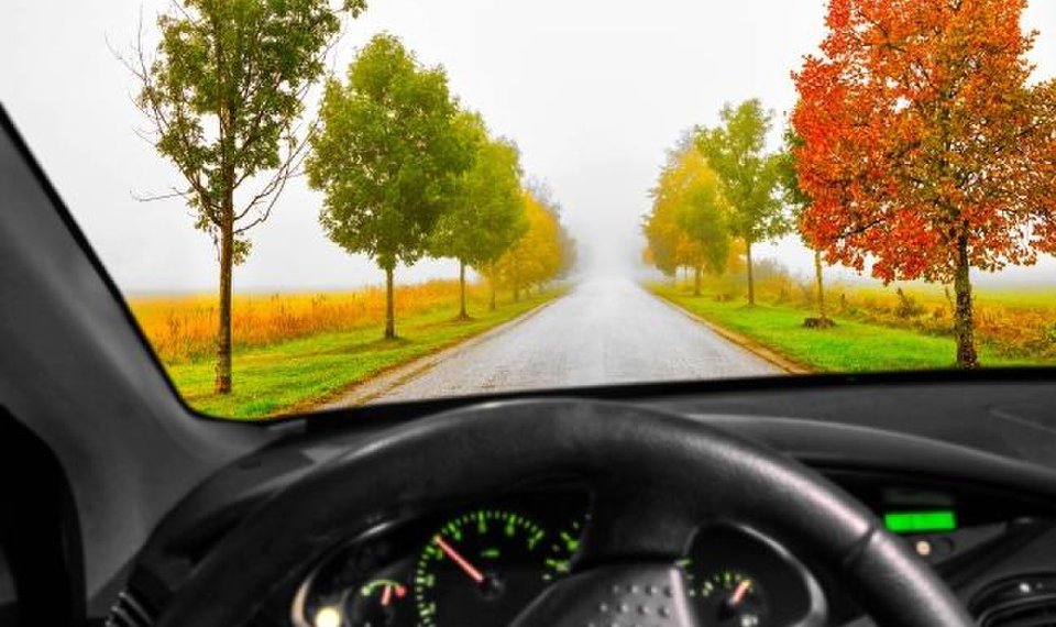 Savvy Senior: When should dementia patients stop driving?
