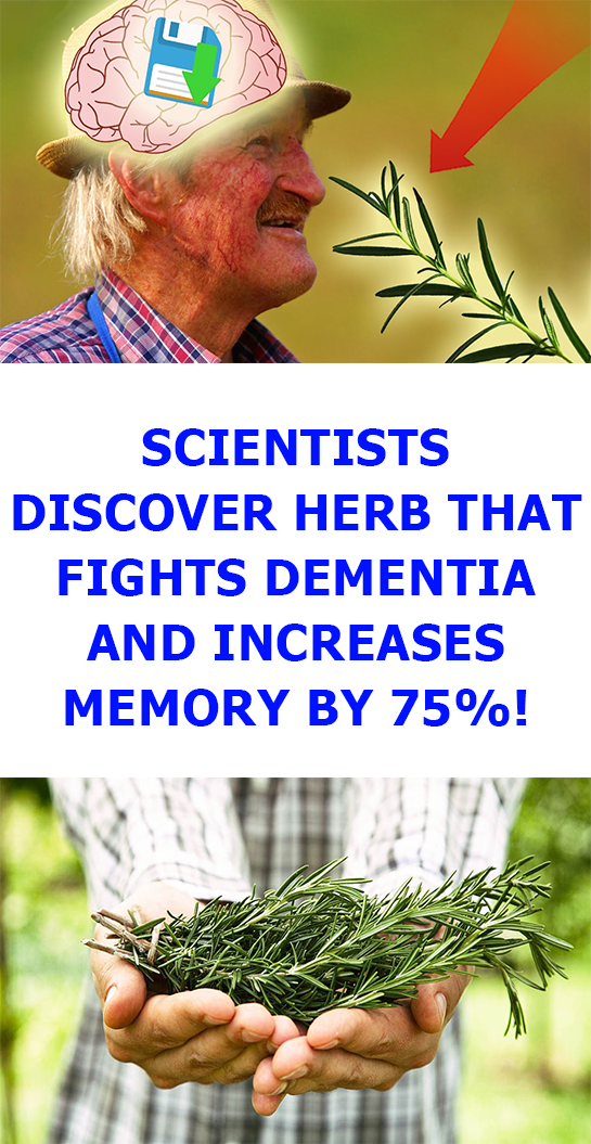 Scientists Discover Herb That Fights Dementia And ...