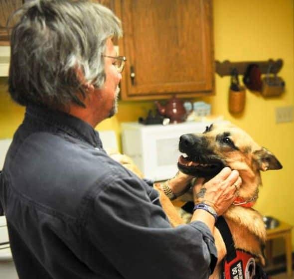 Service Dog Enriches Alzheimers Patients Life
