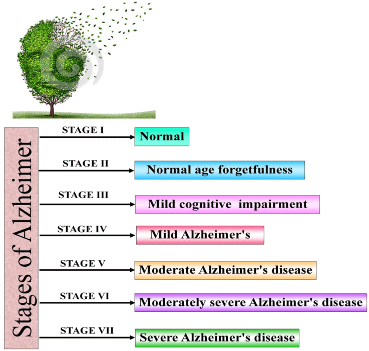 Stages of Alzheimer  Happy Knowledge