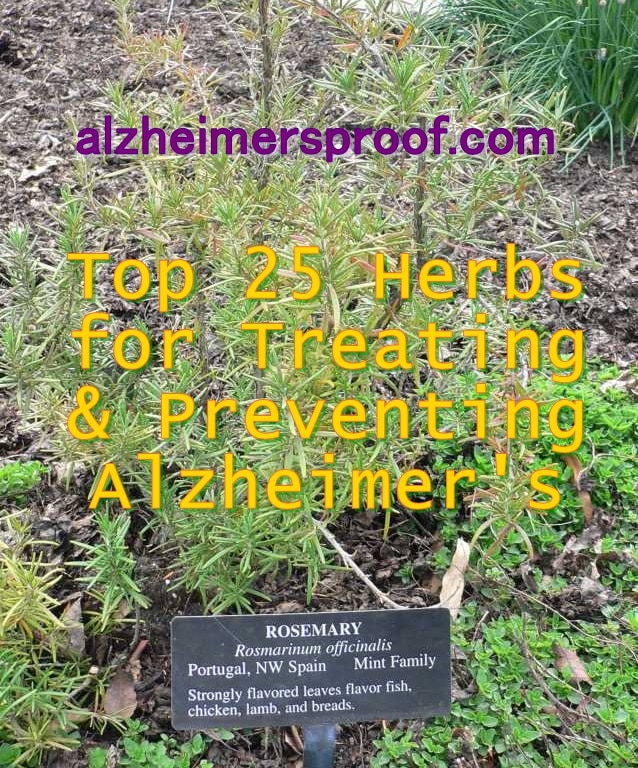 Top 25 Herbs For Treating (&  Avoiding) Alzheimers Dementia