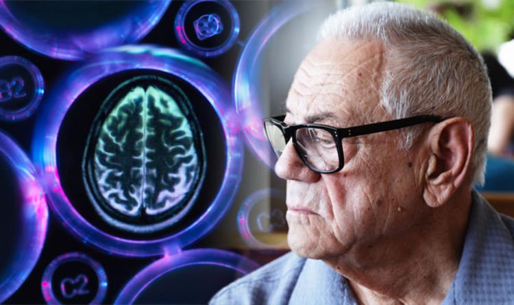 Vascular dementia signs and symptoms: Early stages of the degenerative ...
