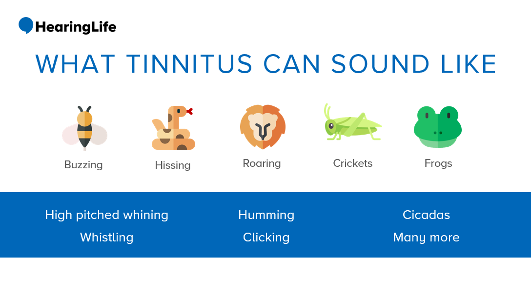 What Causes Tinnitus and How Can I Treat It?