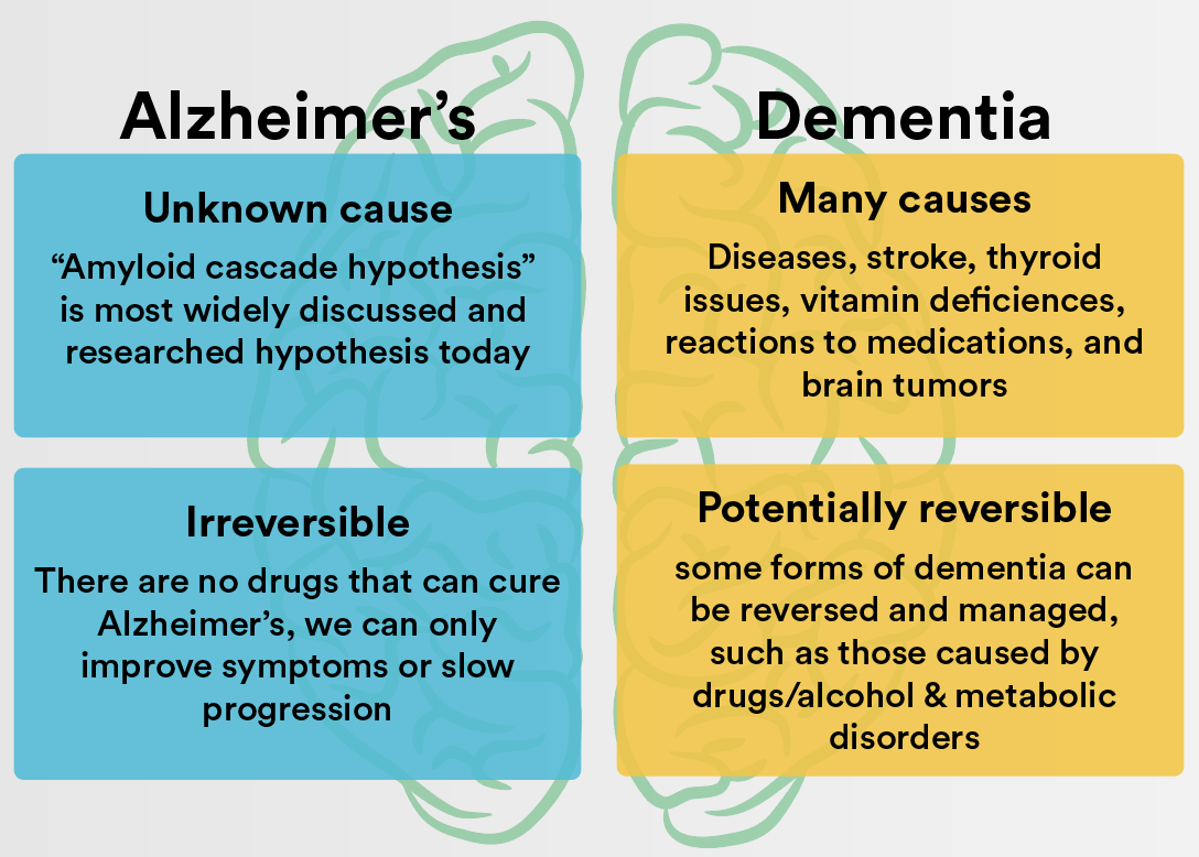 What is the difference between Alzheimers and Dementia?